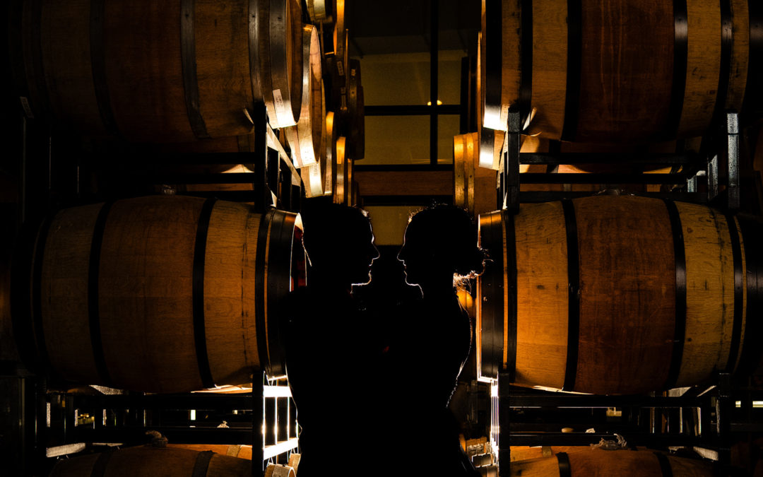 Bride and groom portraits at the Barrel Room at District Winery DC by Potok's World Photography