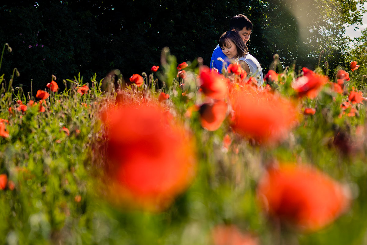 Couple amidst red poppy flowers during engagement session by DC wedding photographer Potok's World Photography