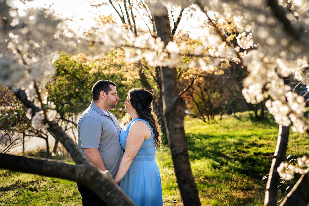 Cherry blossom engagement photos at Green Spring Gardens in Virginia by DC wedding photographers of Potok's World Photography