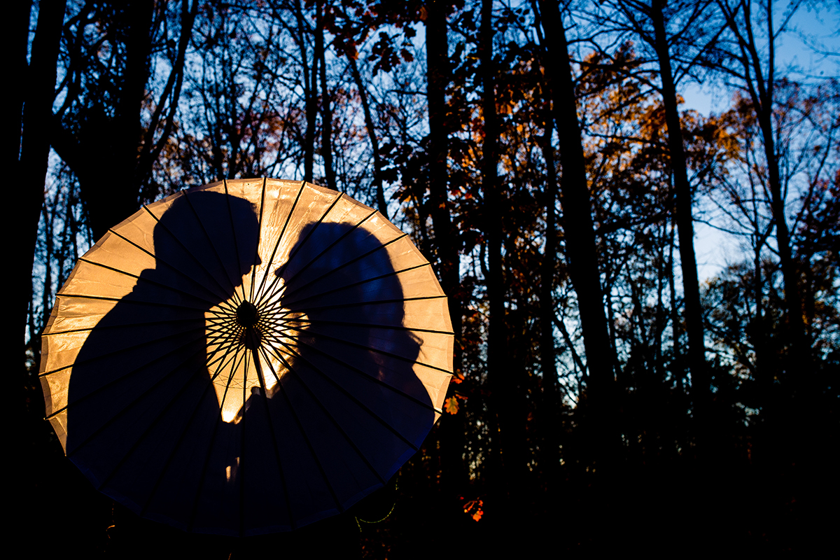 Creative engagement photos in the fall at Ellanor C Lawrence Park in Virginia by Washington DC wedding photographers of Potok's World Photography