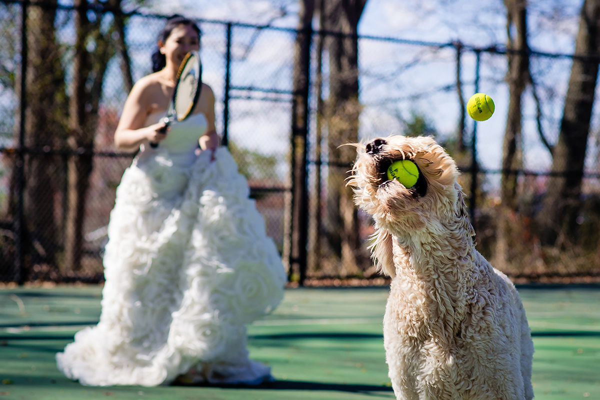 Dunn Loring Park in Fairfax Virginia wedding portraits of bride and groom with their dog by DC wedding photographers of Potok's World Photography