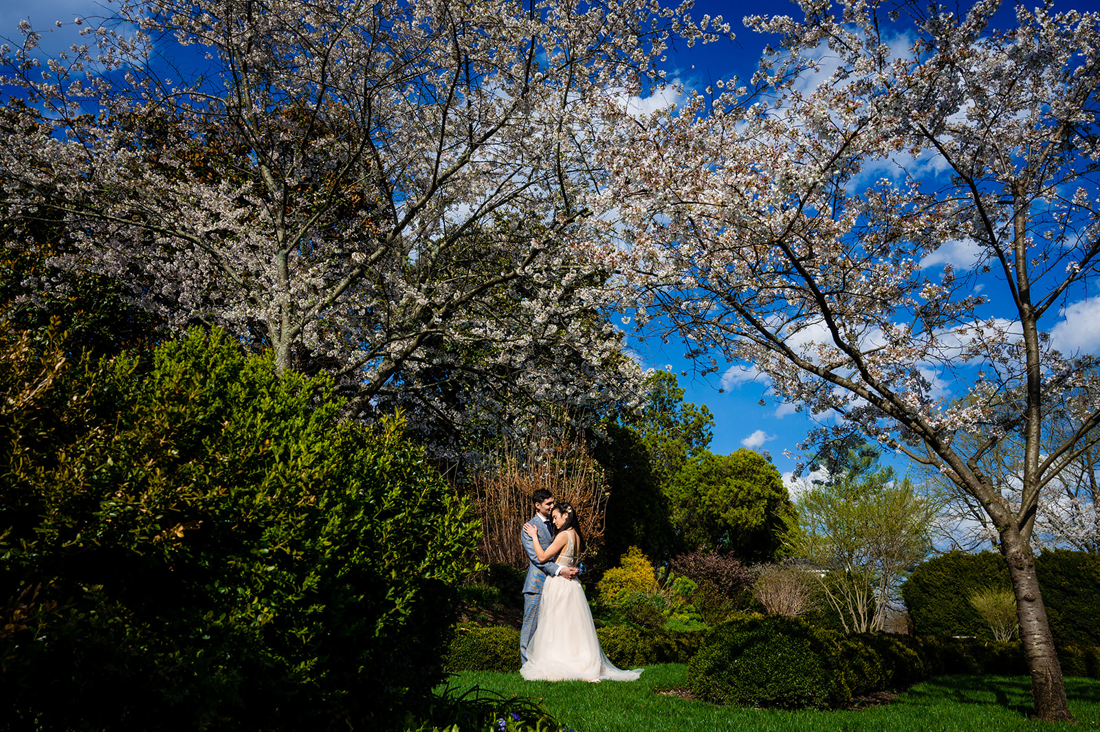 Couples Portraits in The Green Hedges Walkway and The Boxwood Garden at Oatlands Virginia by DC wedding photographers of Potok's World Photography