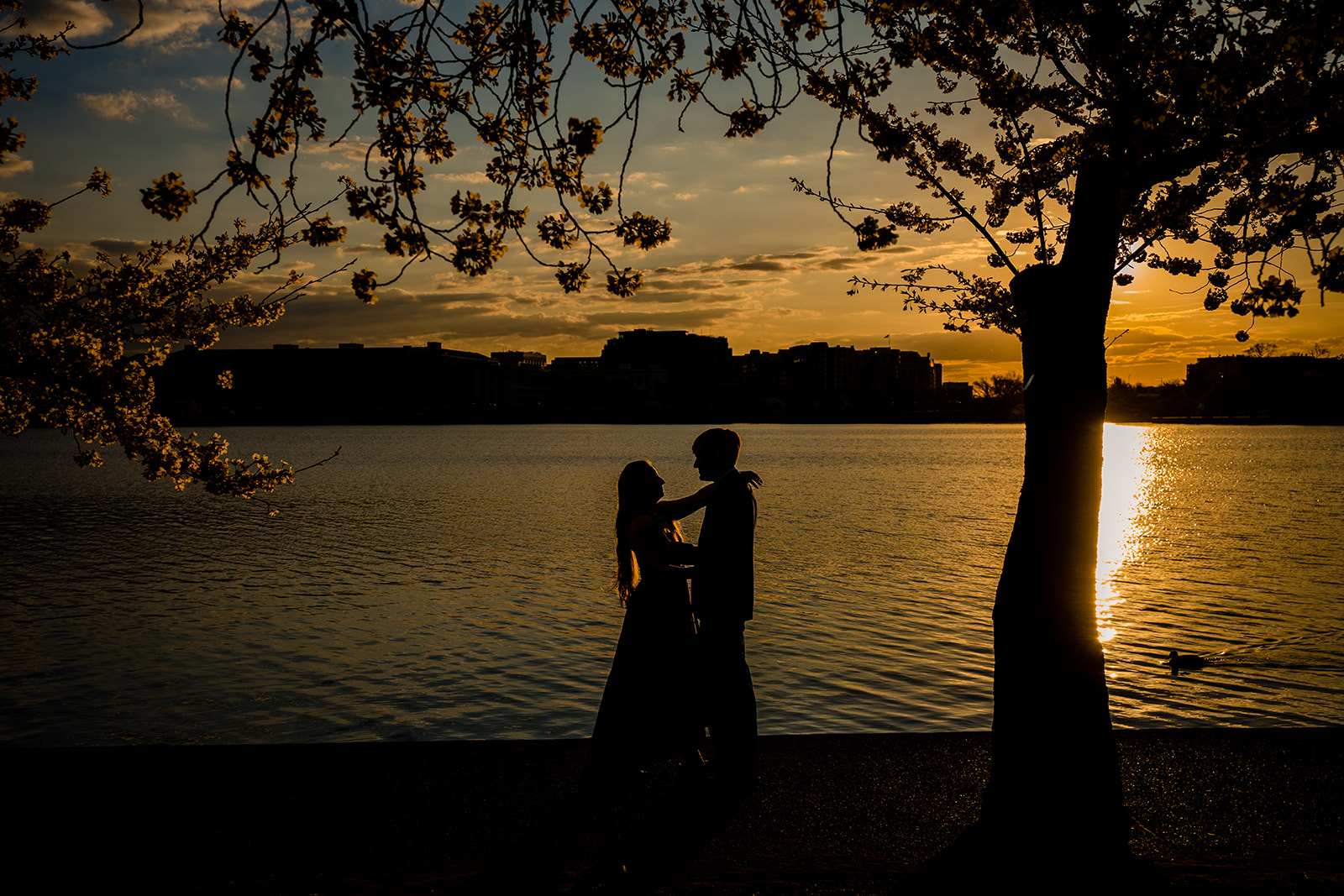 Romantic waterfront engagement portrait with cherry blossoms in DC by Potok's World Photography