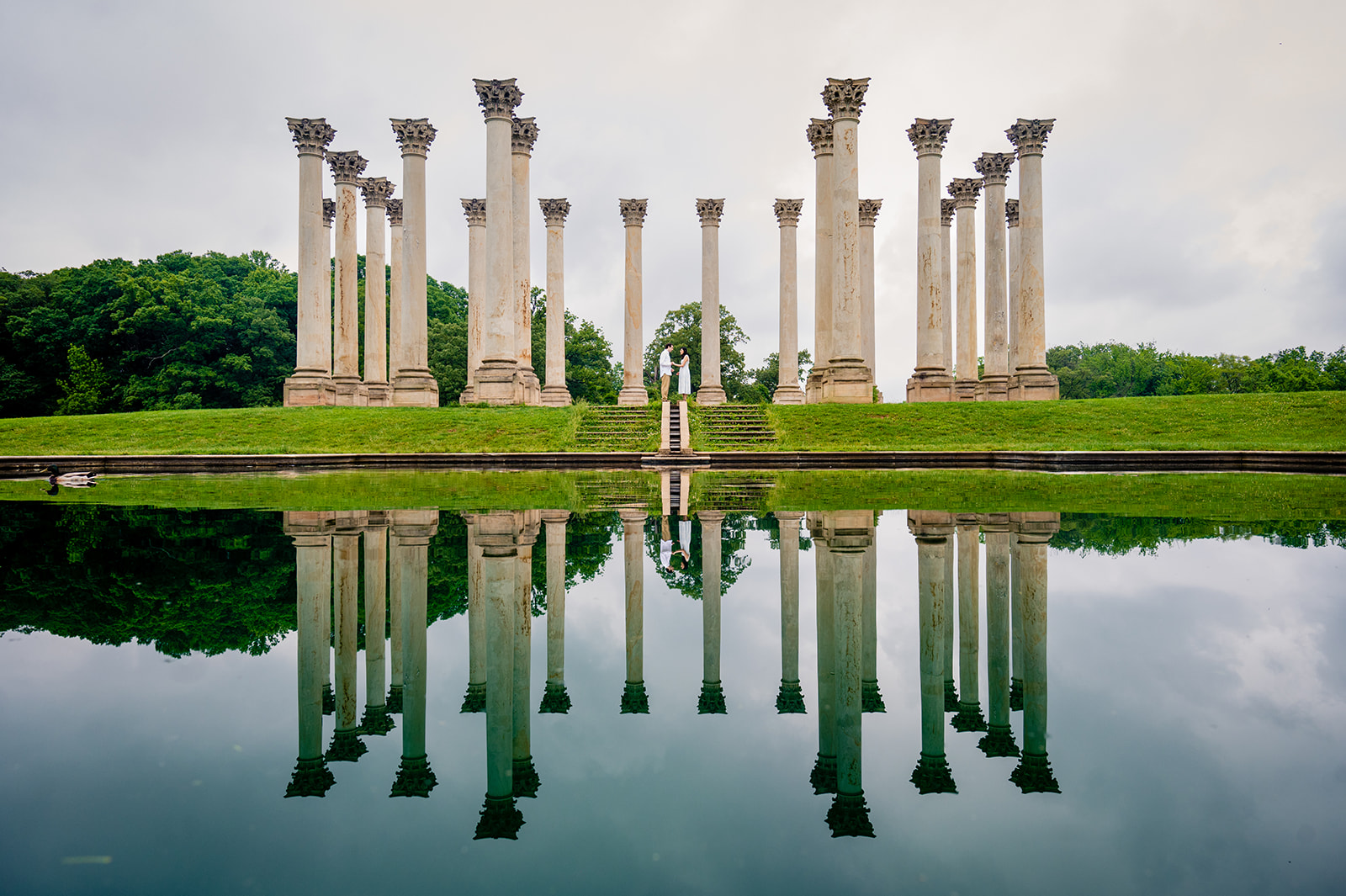 National Arboretum engagement photos by Potok's World Photography