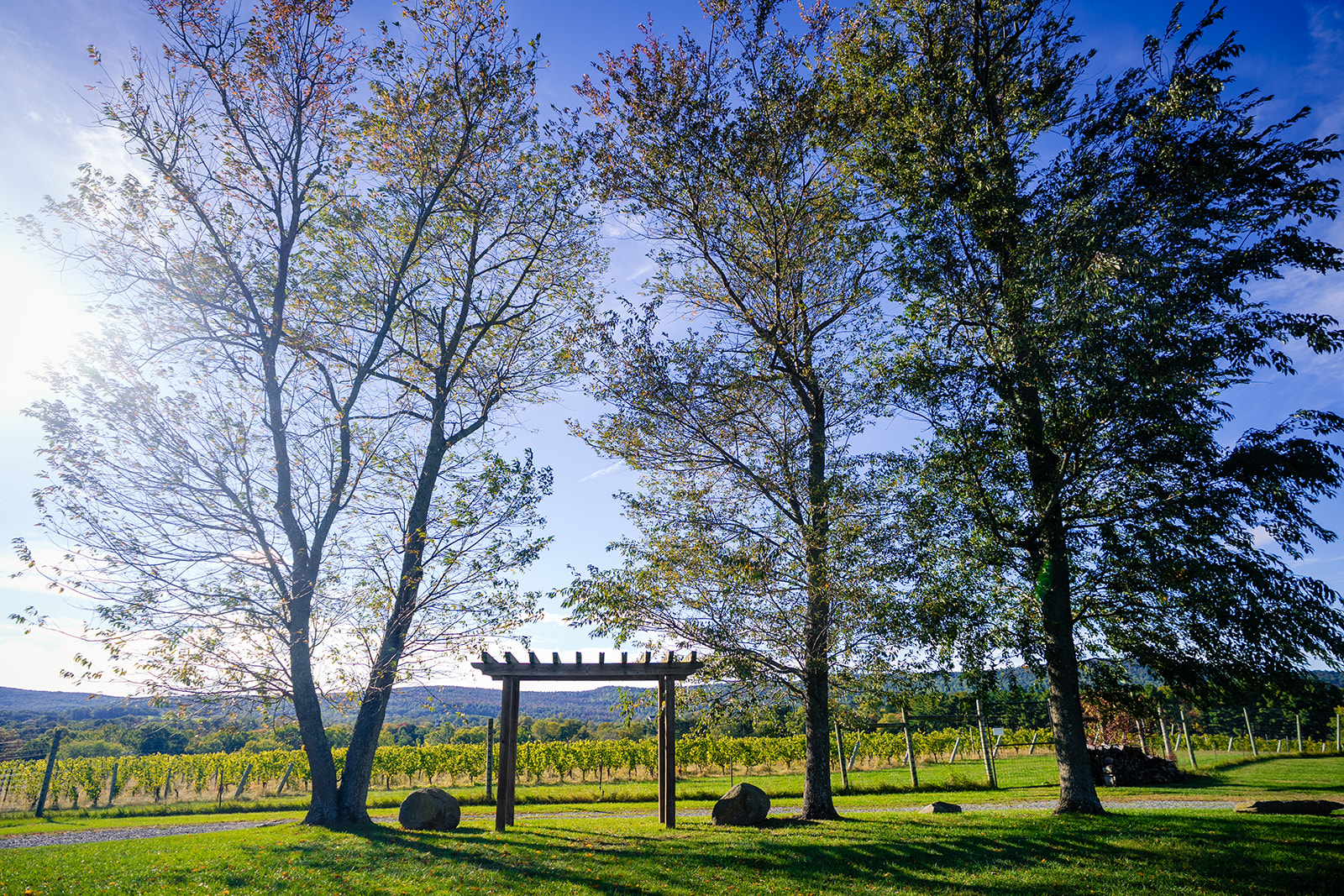 Outdoor wedding ceremony space overlooking the vines at Kalero Vineyard in Virginia