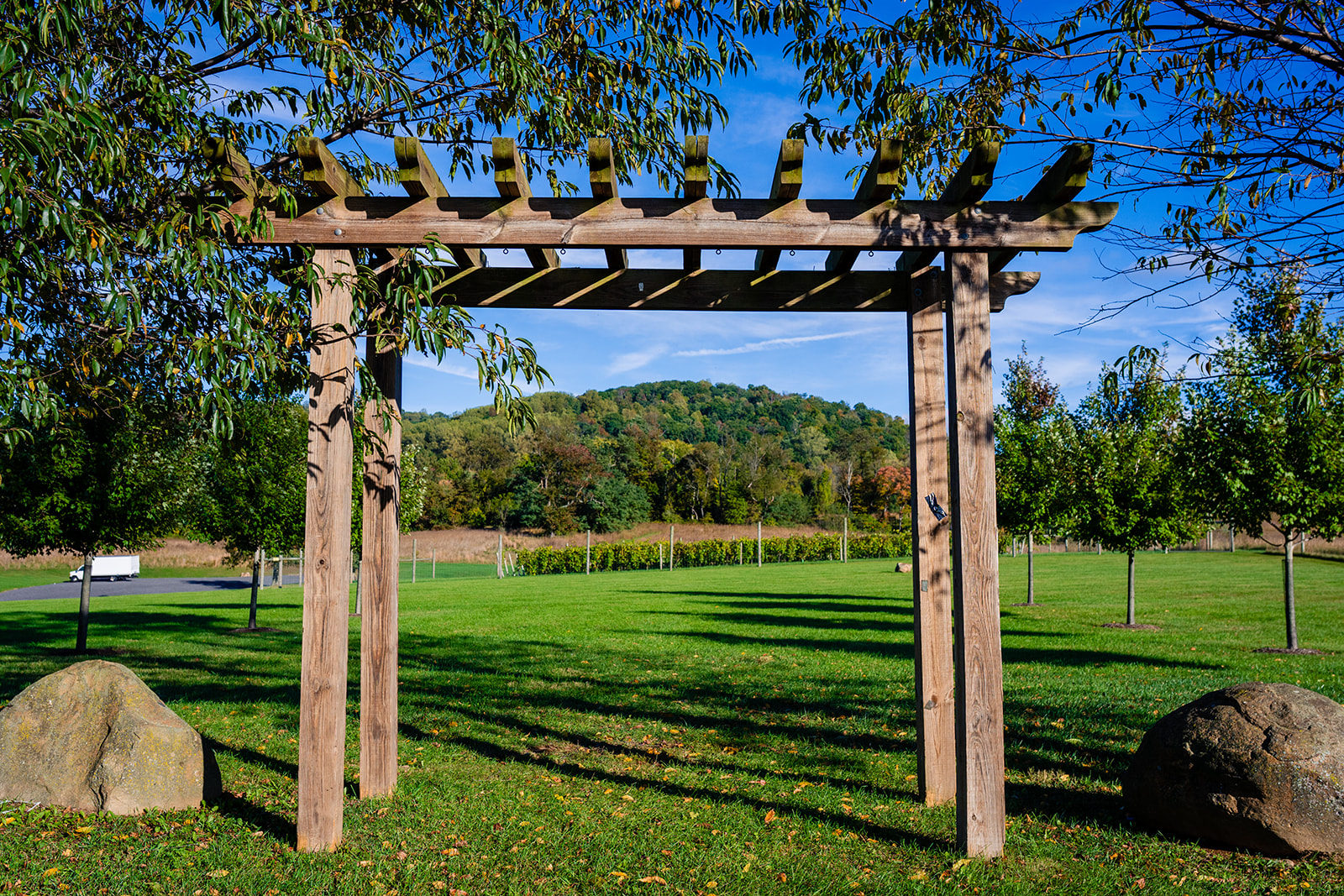Kalero Vineyard scenic outdoor ceremony space